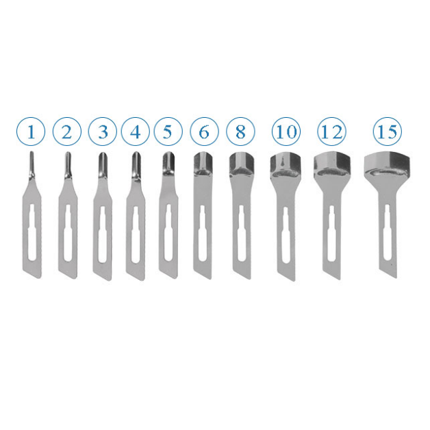 Lame Sgorbia Dimensioni Assortite 12pz